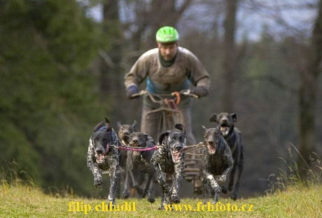 Tri studne - podzim 07 - 247.jpg